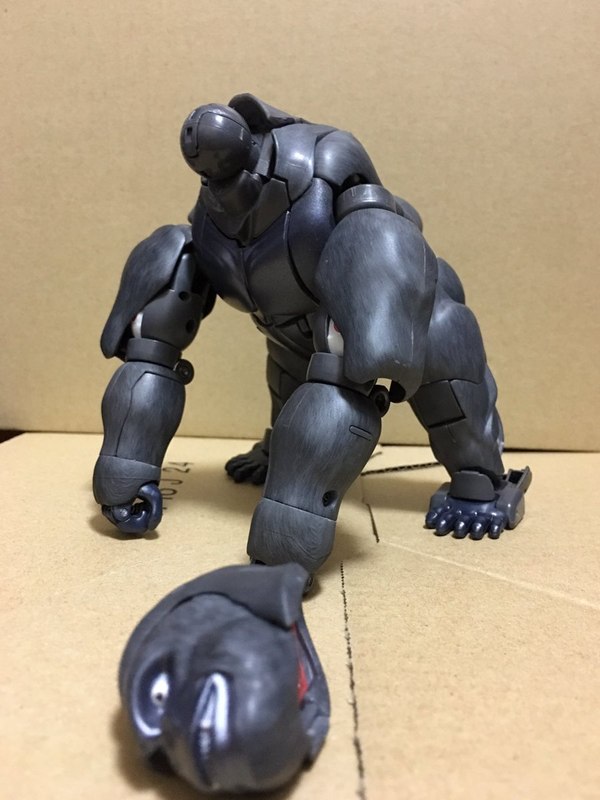 MP 32 Masterpiece Optimus Primal   In Hand Photos Surface On Twitter  (70 of 81)